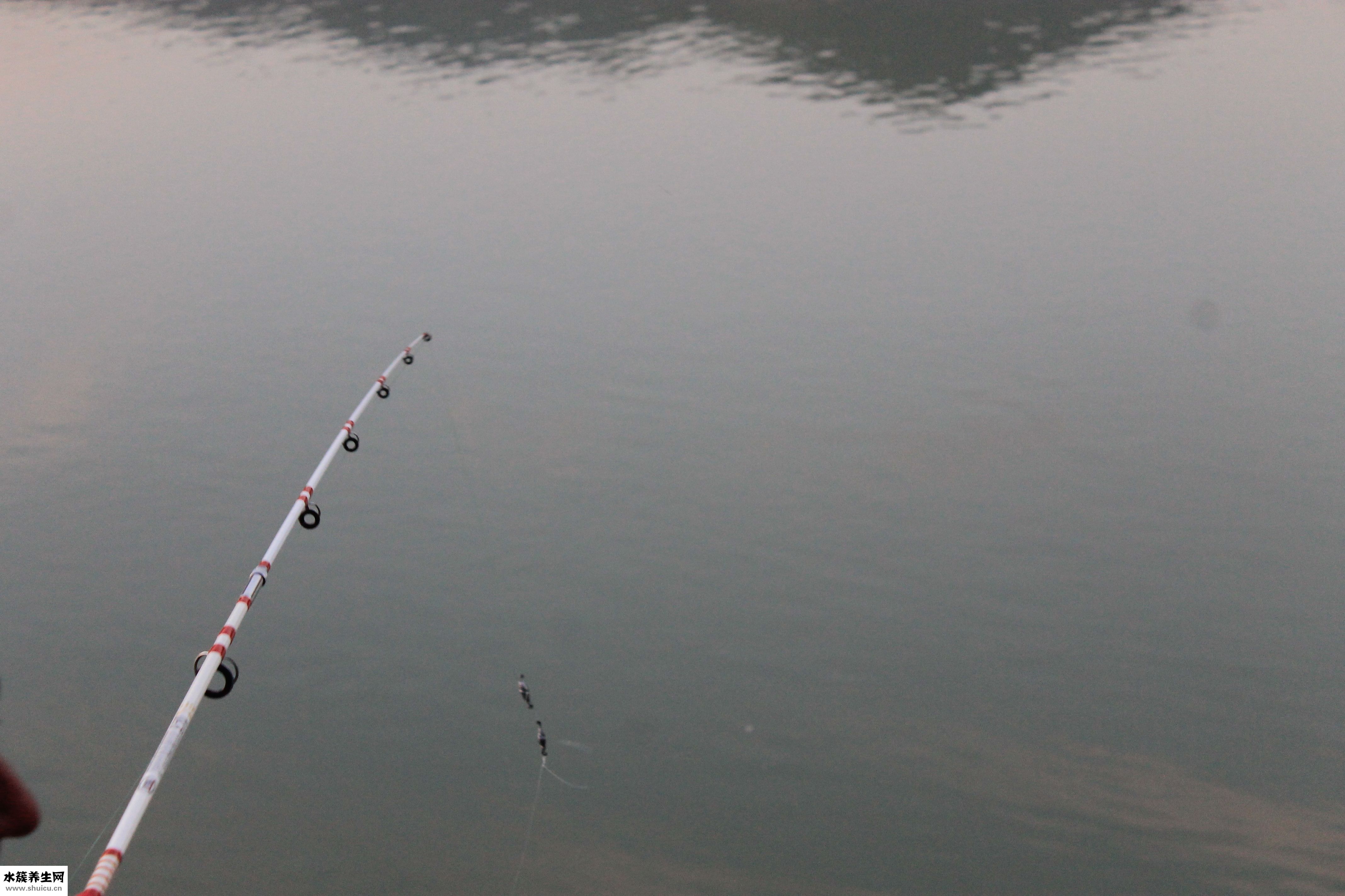 雨天釣魚怎么樣