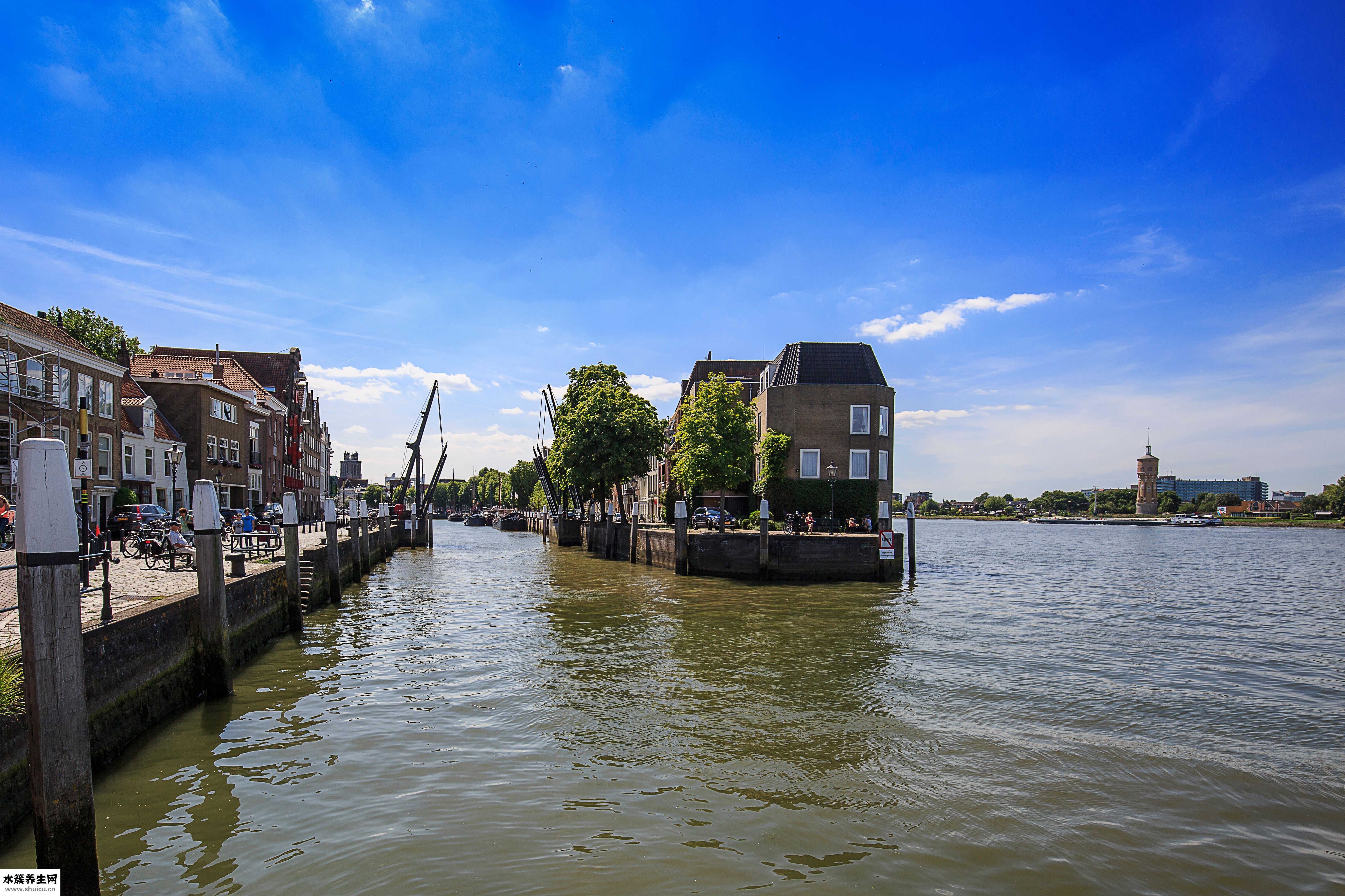 晚上失眠吃什么