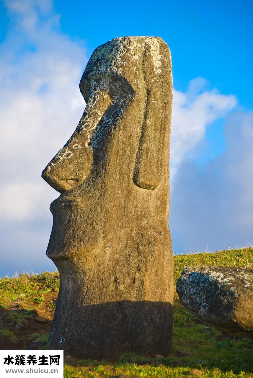 拉帕替尼怎么樣