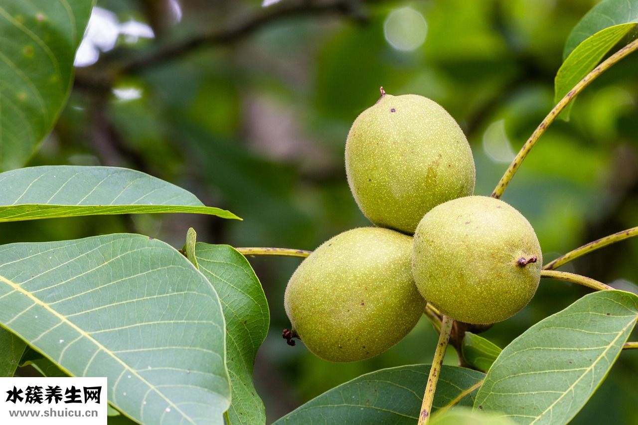 內(nèi)能與什么有關(guān)