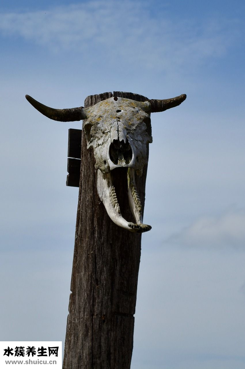 進看守所會怎么樣