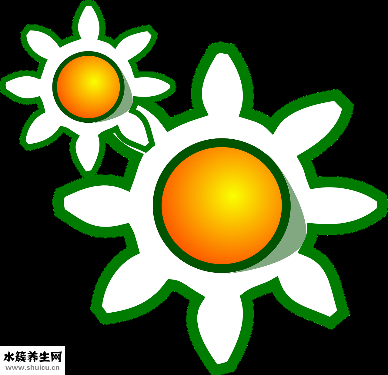 貓打噴嚏是怎么回事