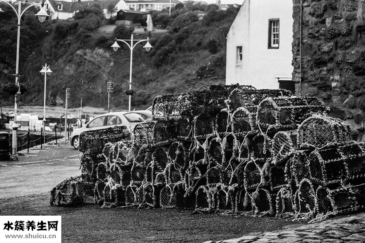 吃螃蟹的醋怎么調(diào)