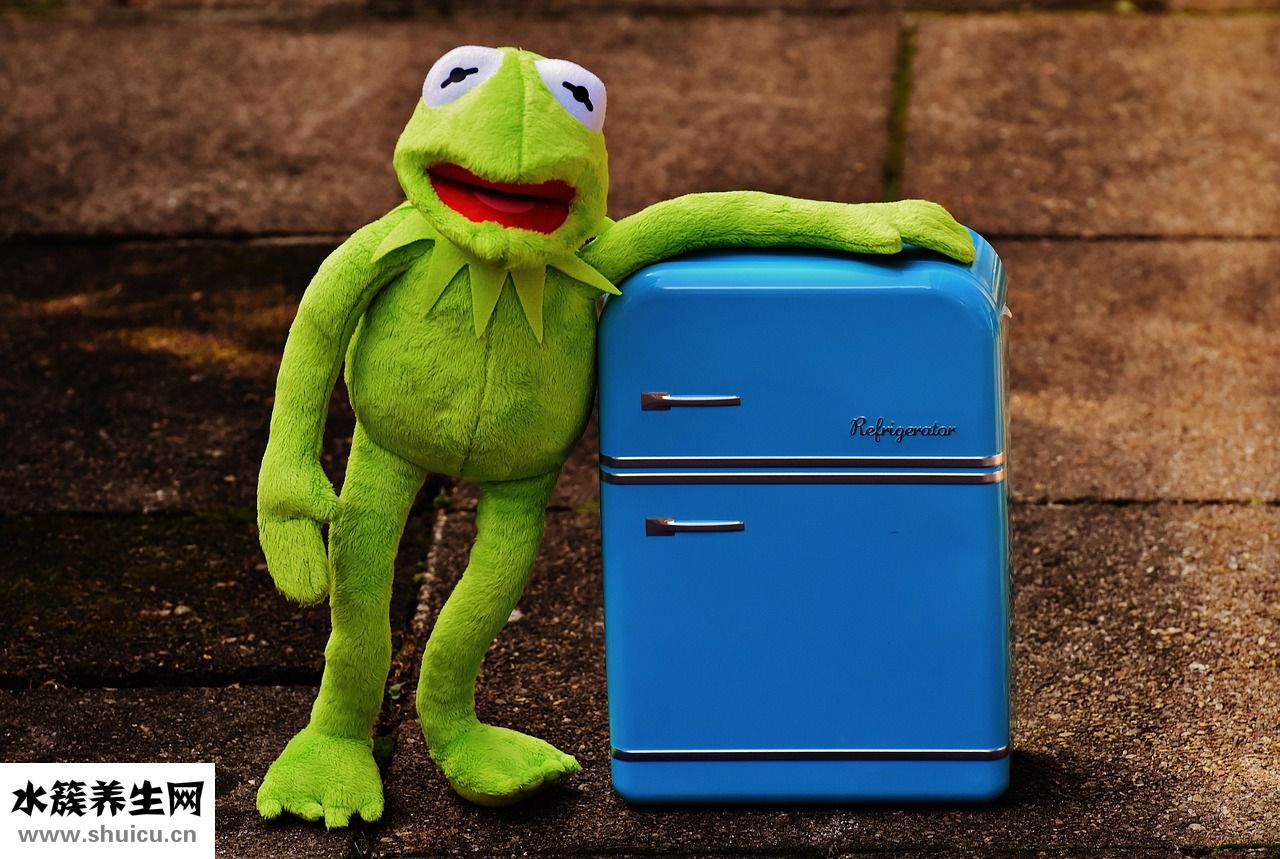 怎么消除冰箱異味