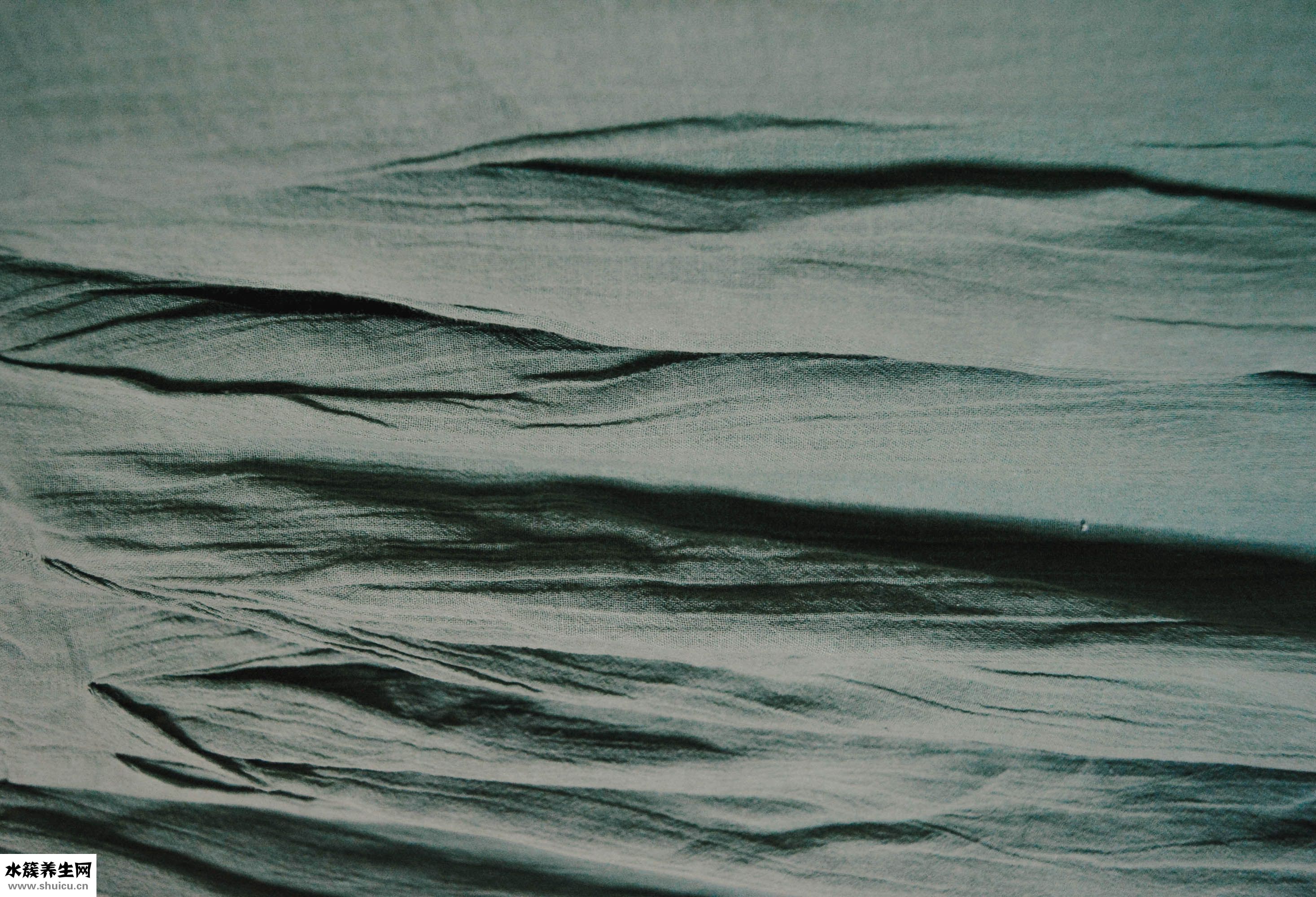 豬肉怎么看壞沒壞