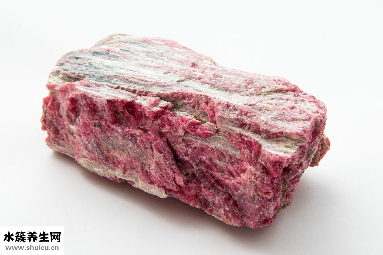 怎么判斷豬肉壞了沒