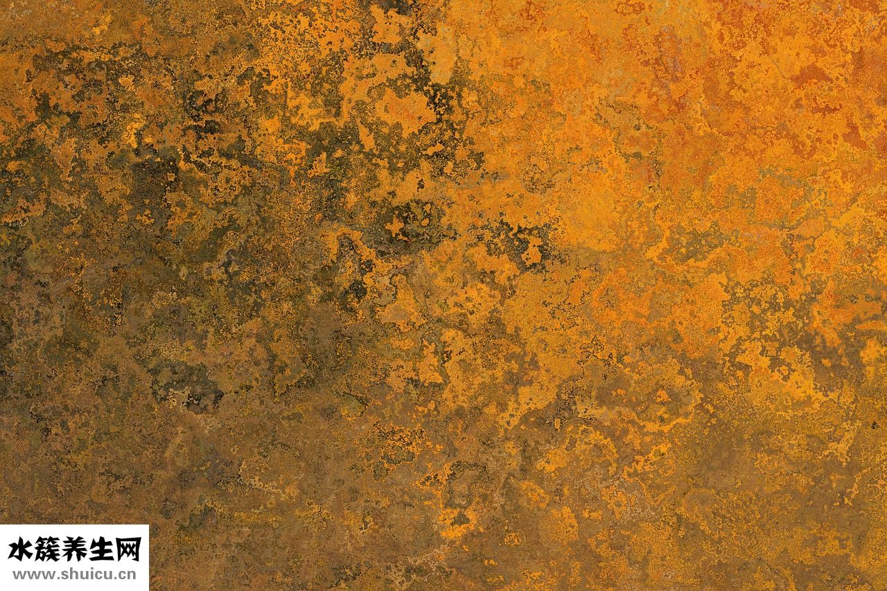 豬肉怎么看壞沒壞