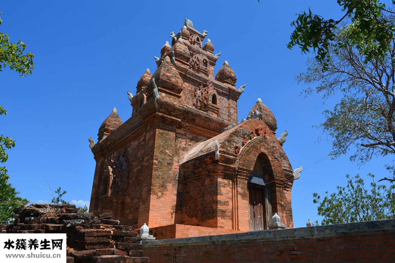 冷凍蝦仁怎么吃