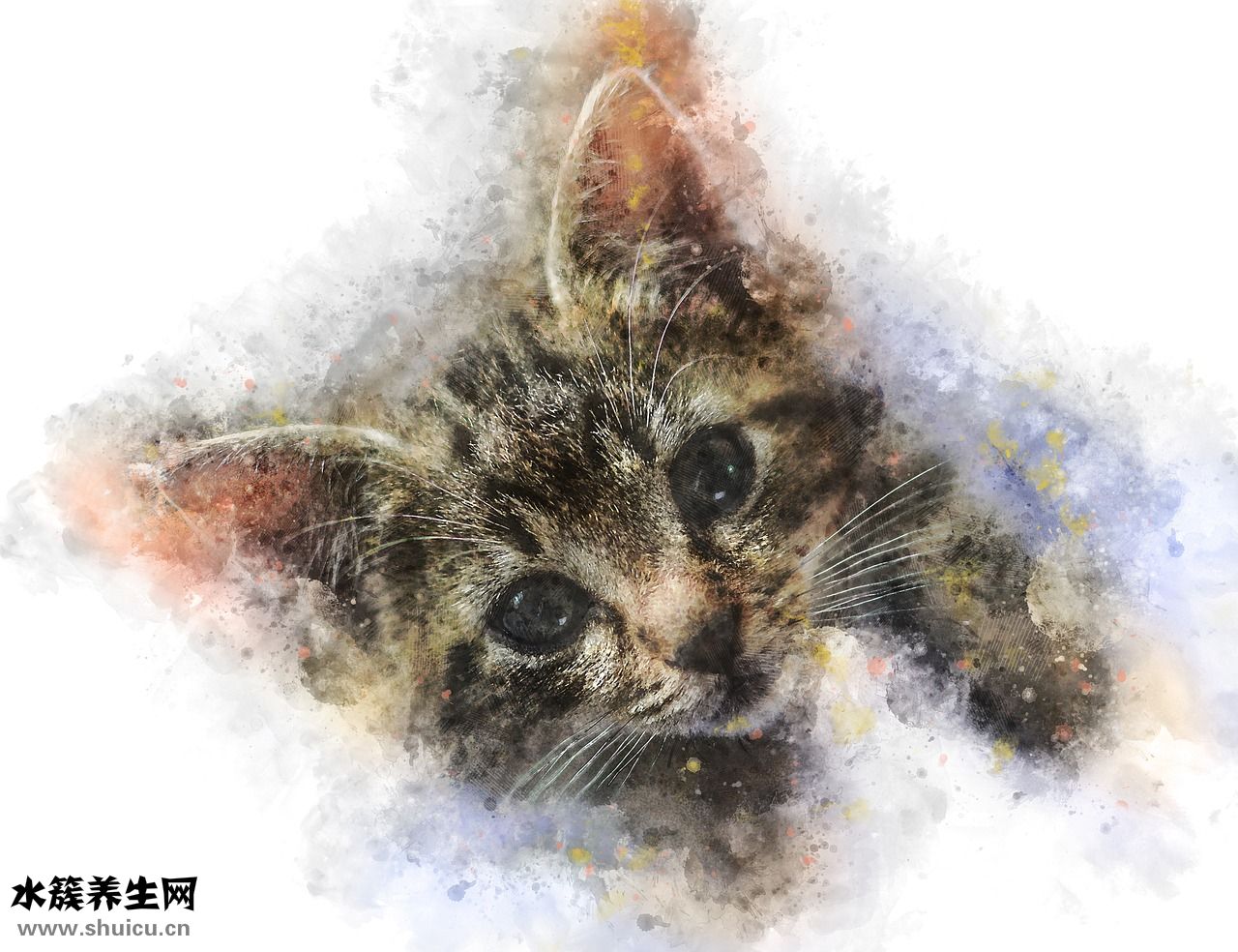 小腿發木是怎么回事