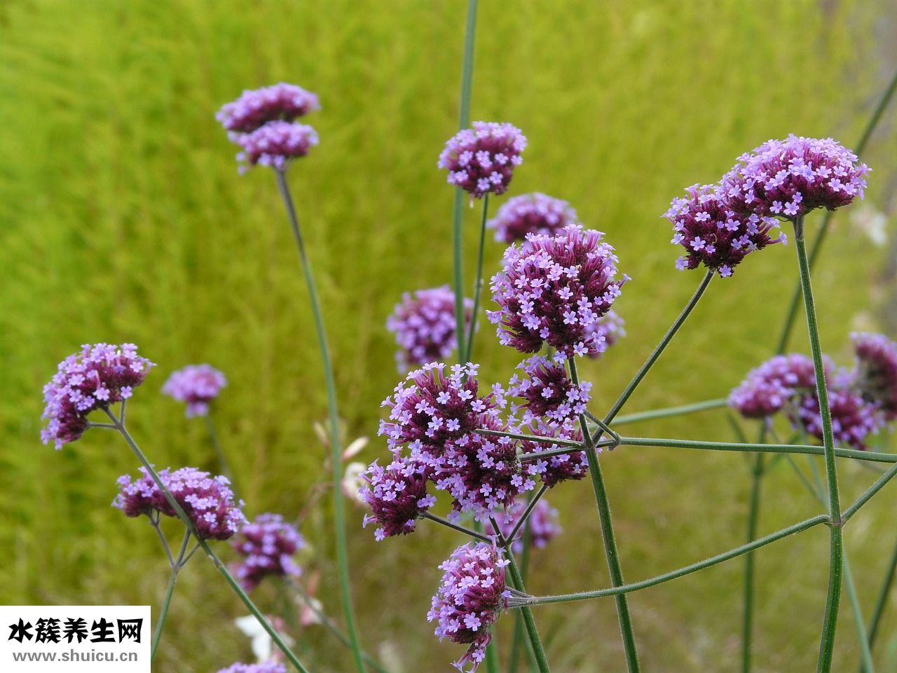 小兒尿床怎么治療