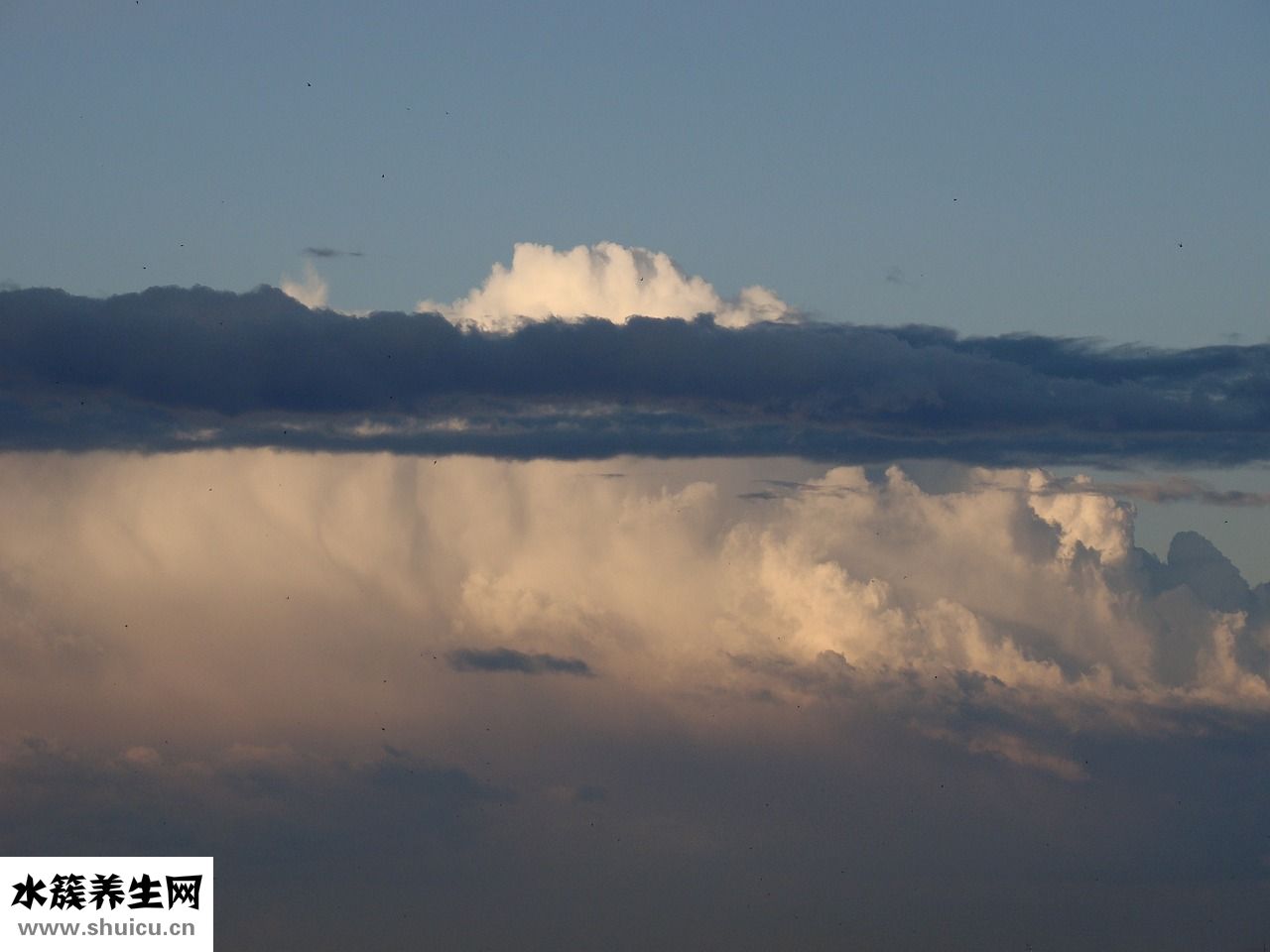 怎么預(yù)防葡萄胎