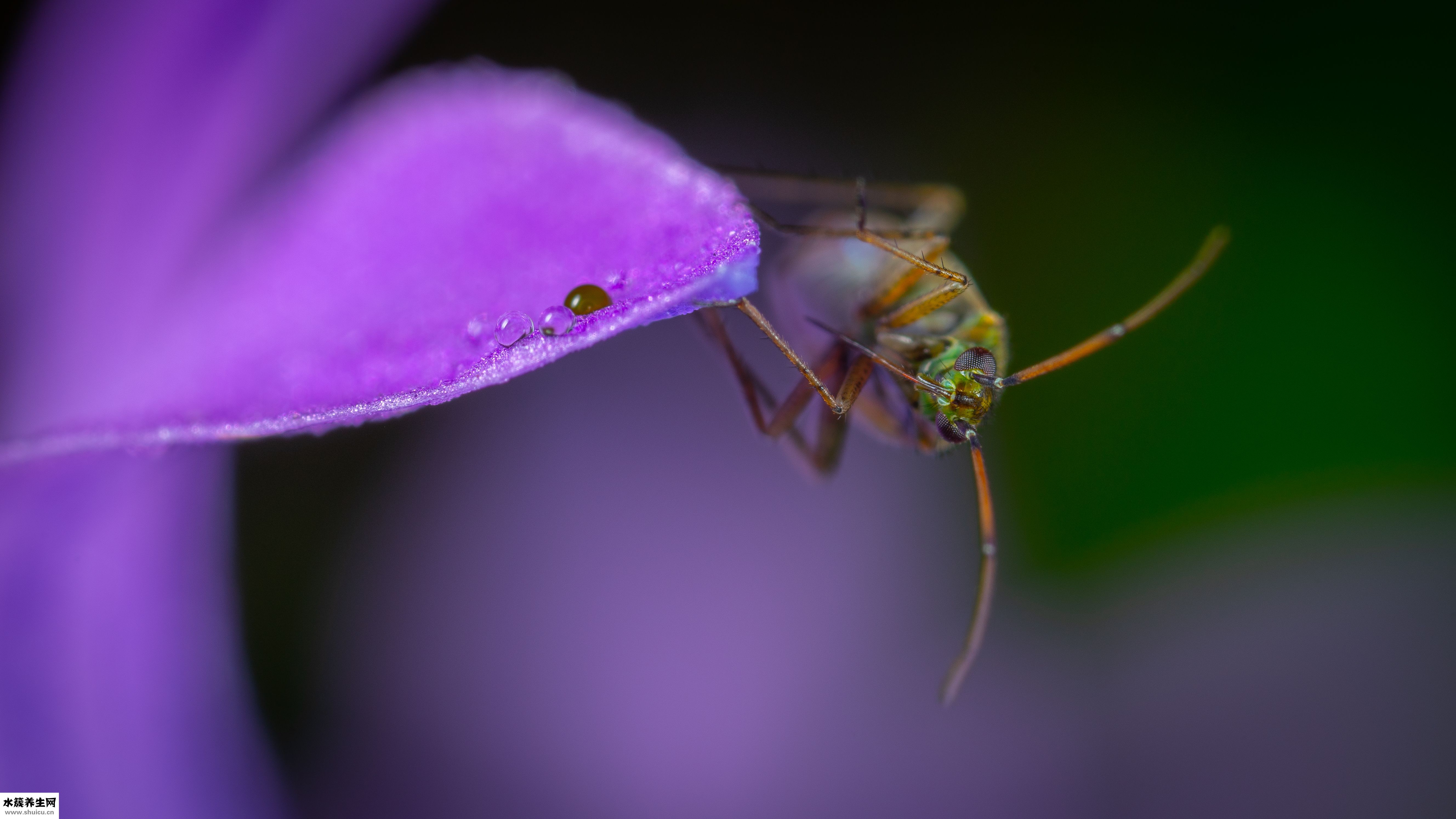 小腿發木是怎么回事