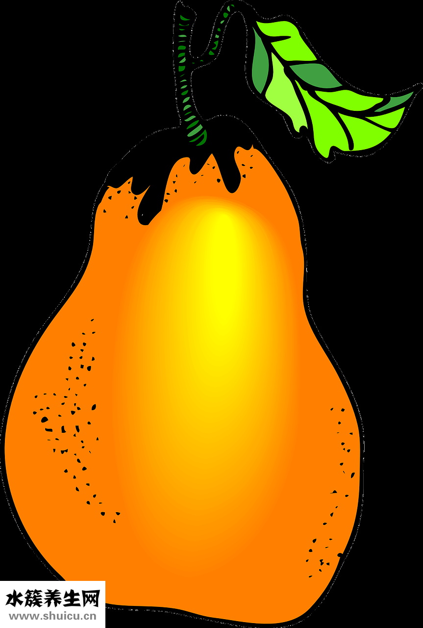 小車資格證怎么考