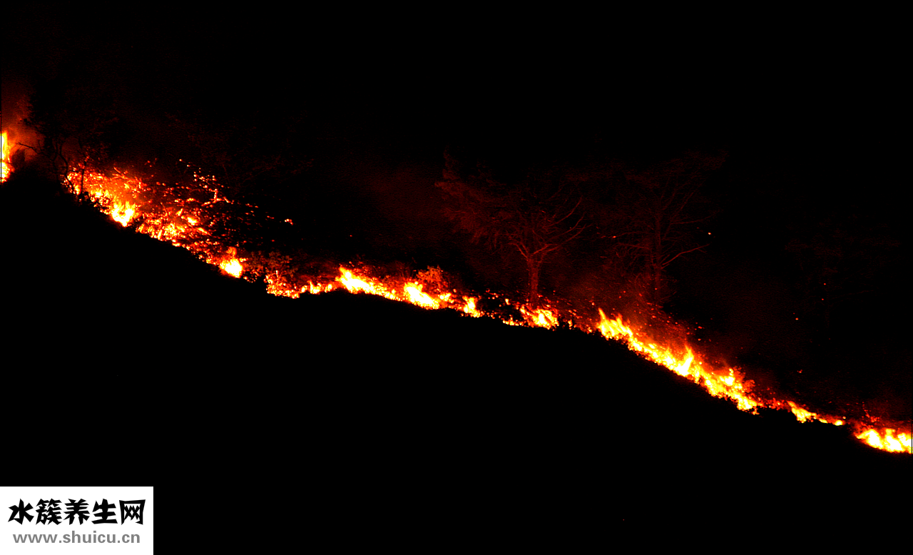 山藥破壁飲片怎么樣