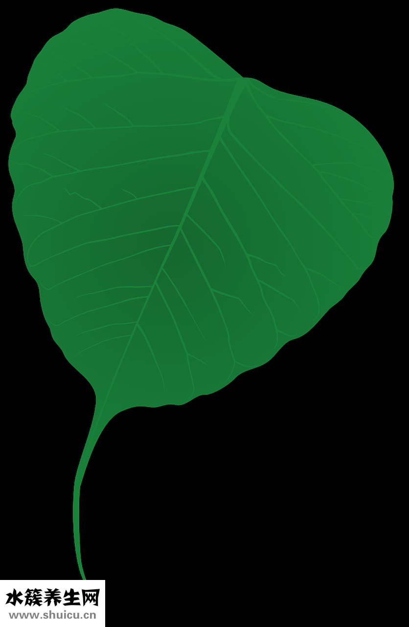 硬性隱形眼鏡怎么取