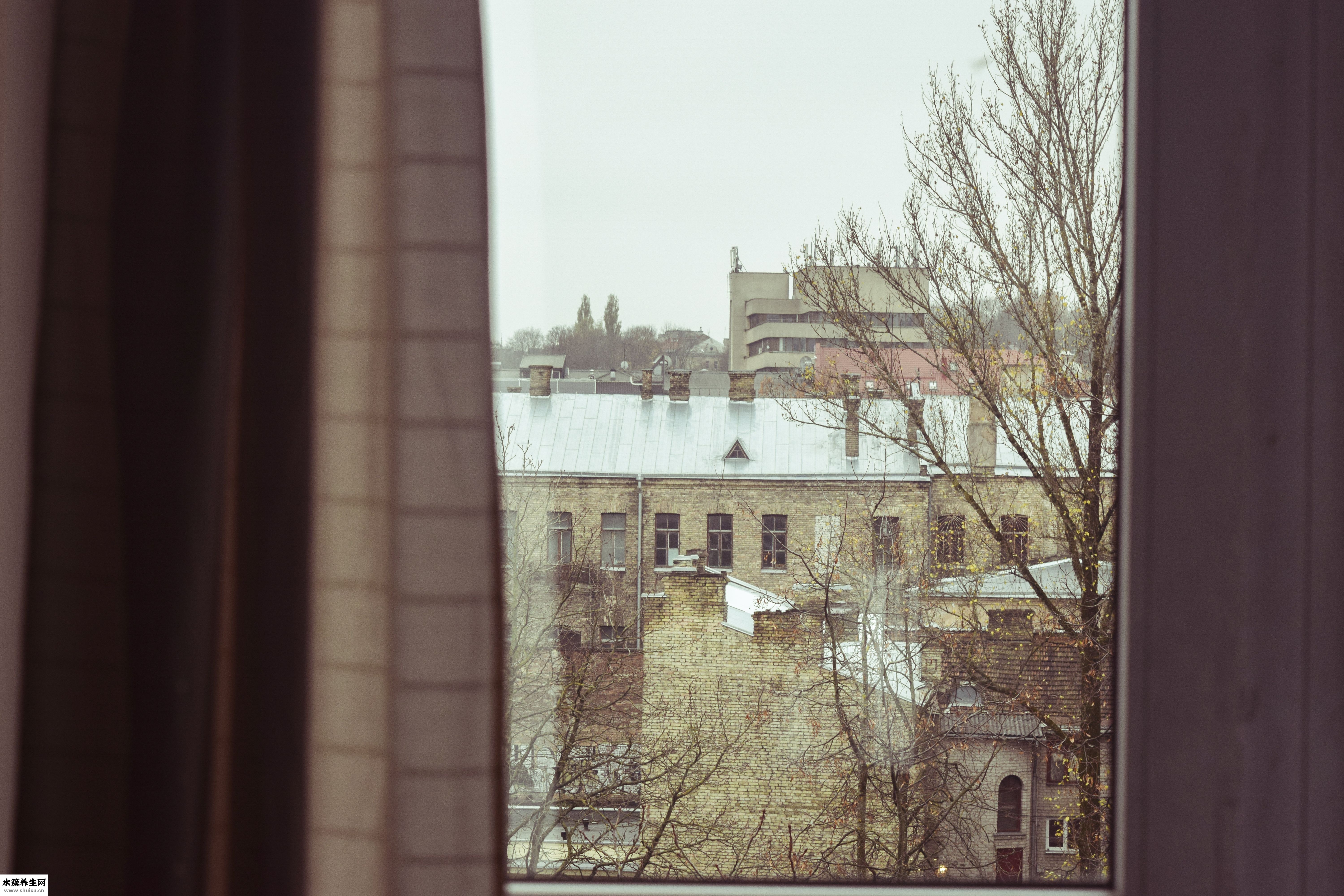 硬性隱形眼鏡怎么取