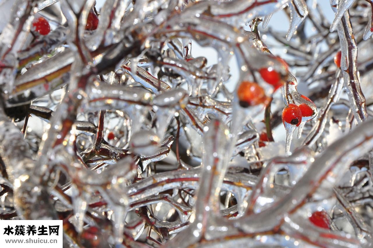 護陰寶是怎么使用的