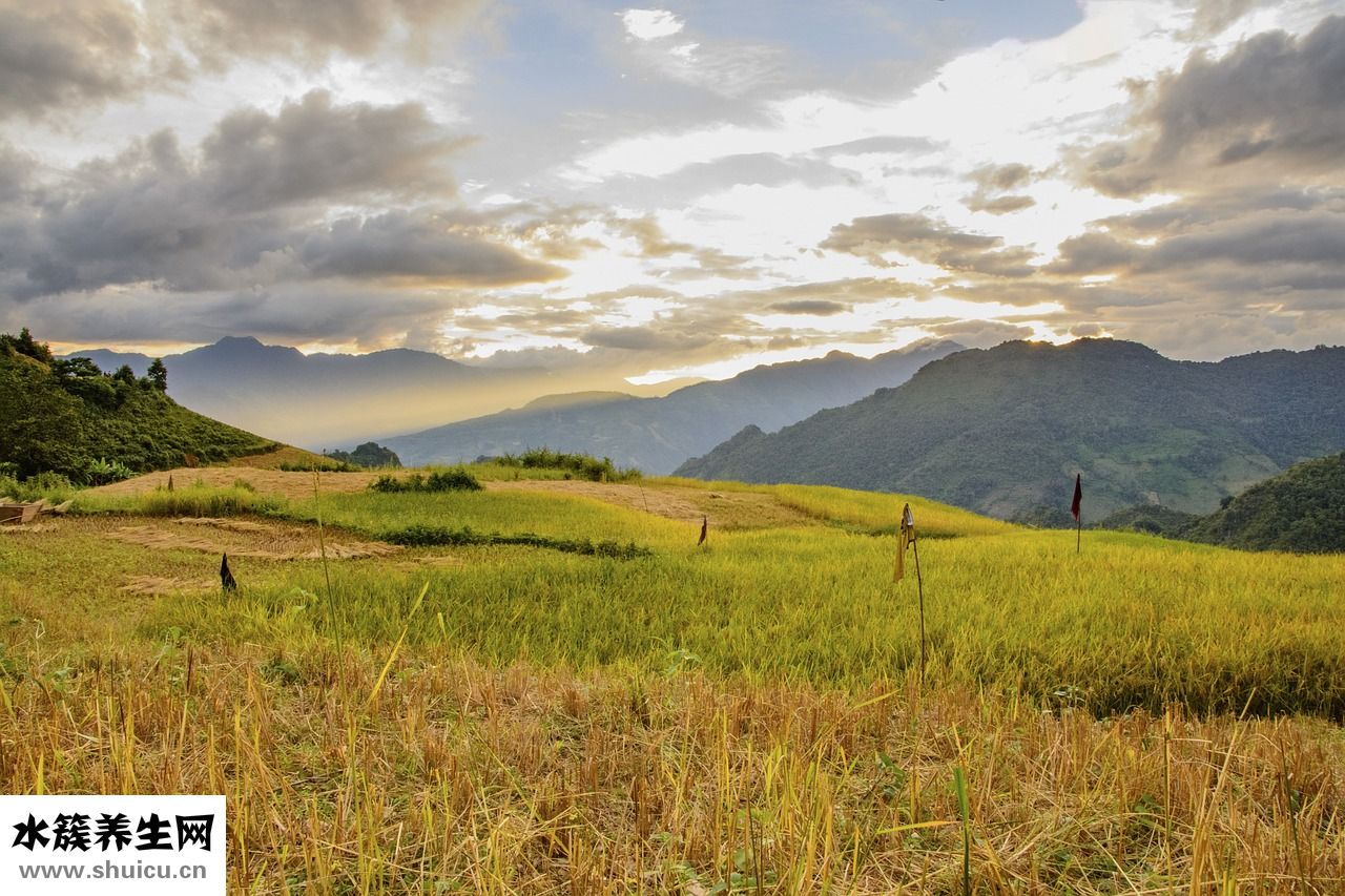 不愛吃飯偏瘦怎么辦