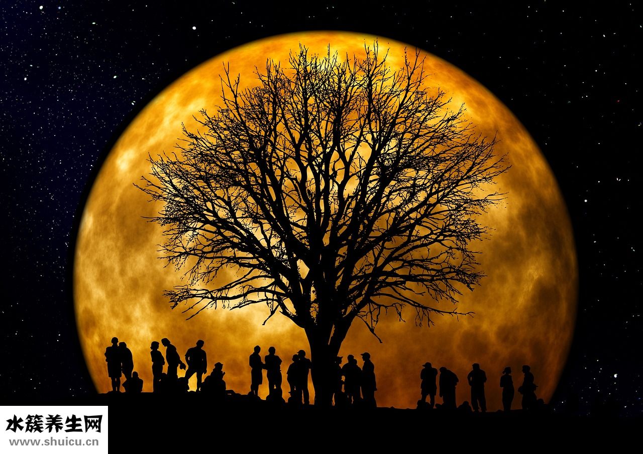 月餅怎么吃不膩