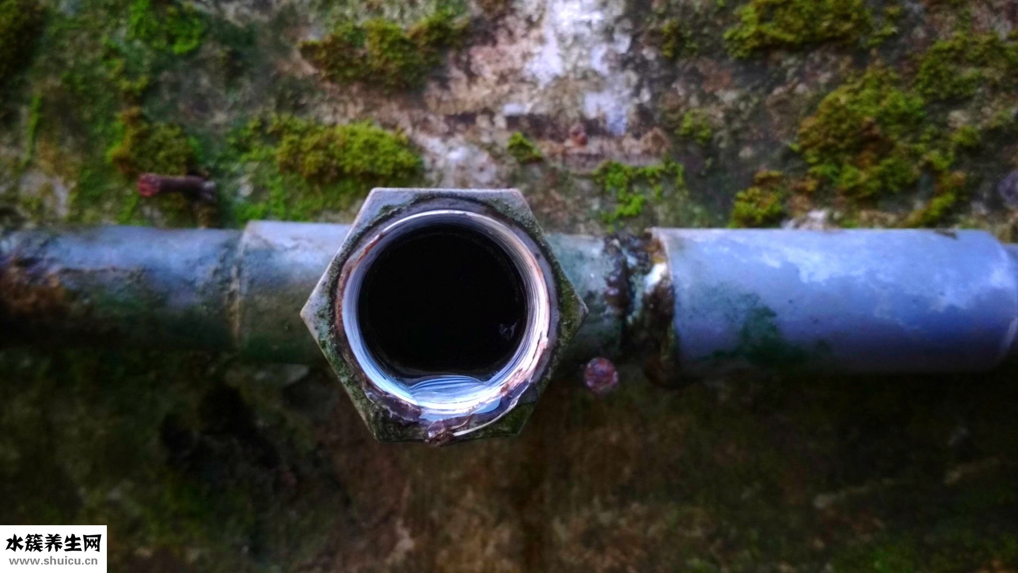 怎么能讓指甲變長