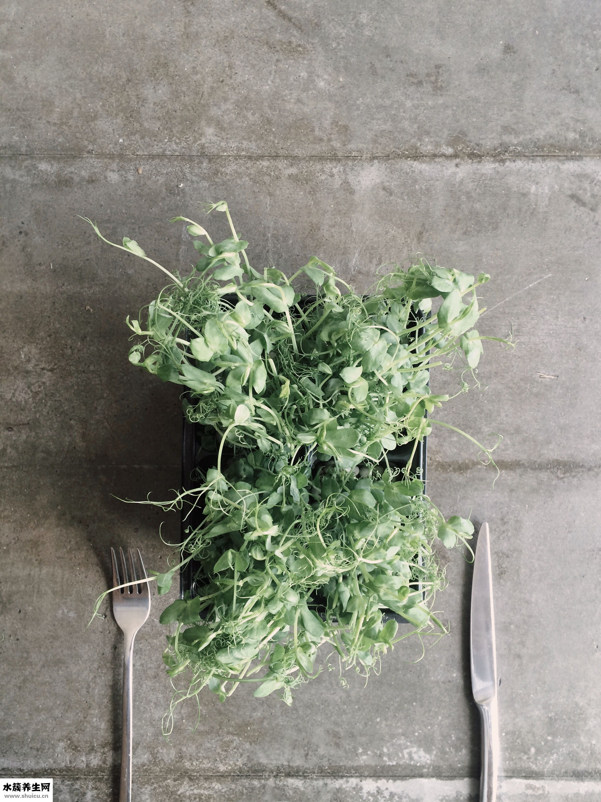 怎么能讓指甲變長