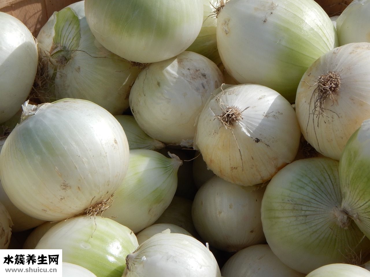 生蝦怎么做好吃