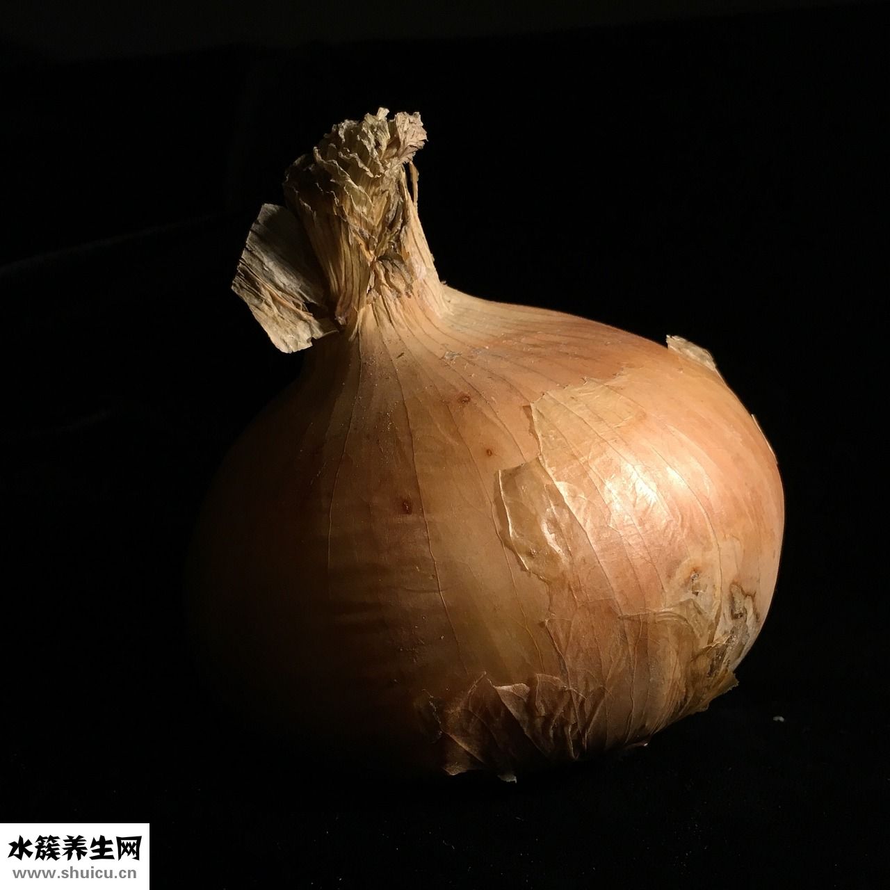 生蝦怎么做好吃