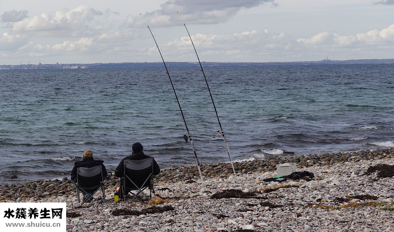 釣魚燈頭怎么拆