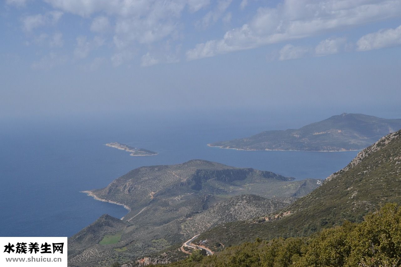 兩只畫眉鳥怎么養(yǎng)