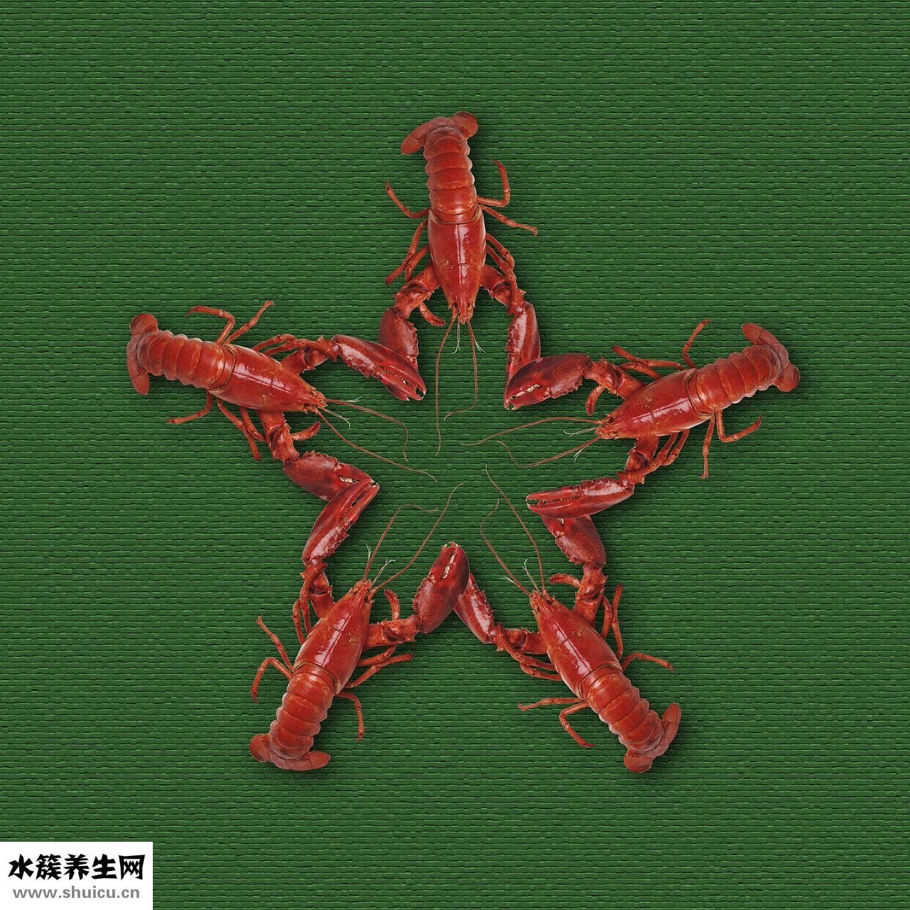 蝦仁漲蛋怎么做