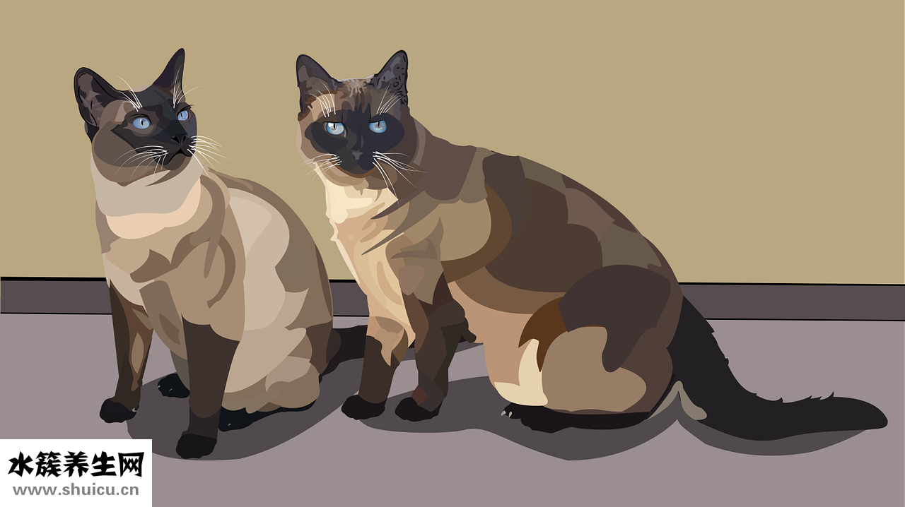 孫儷怎么保養(yǎng)眼睛