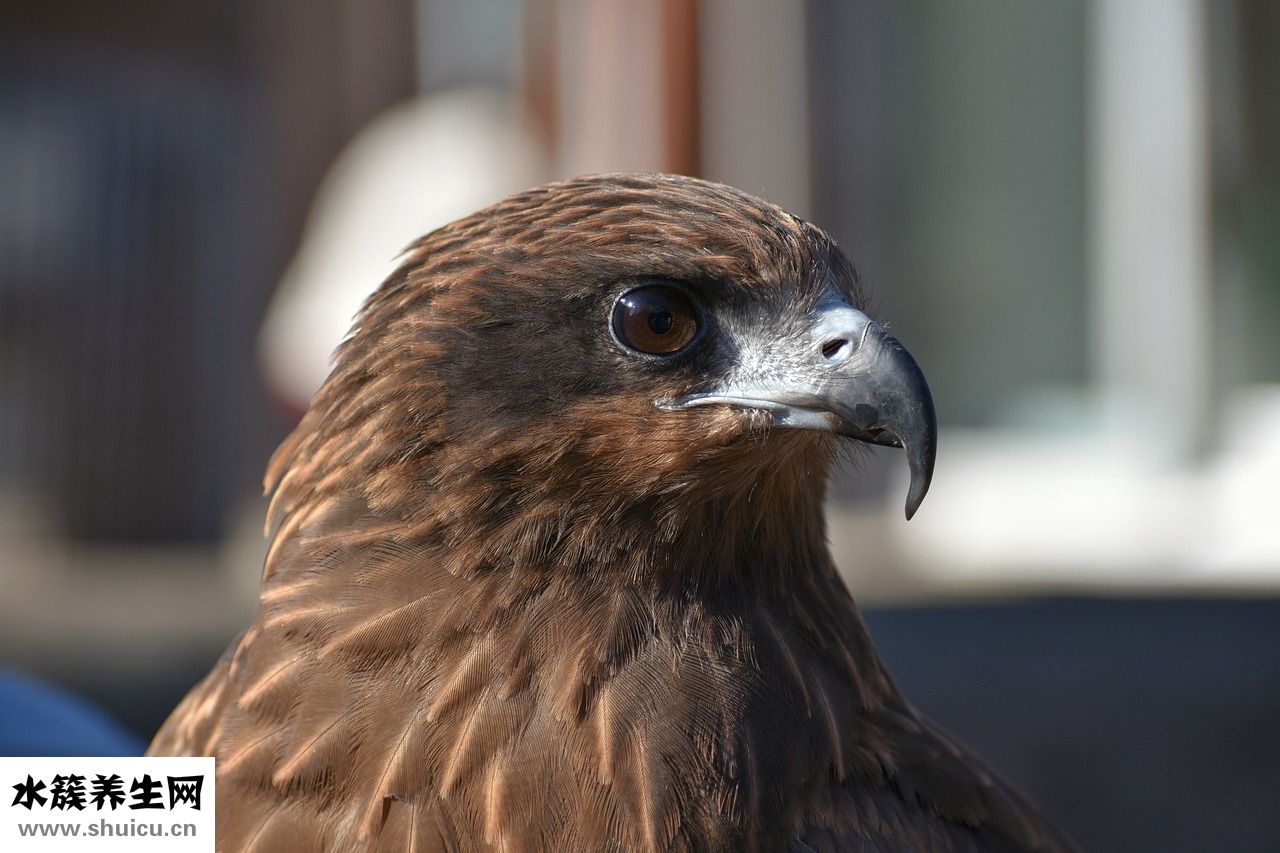 孫儷怎么保養(yǎng)眼睛