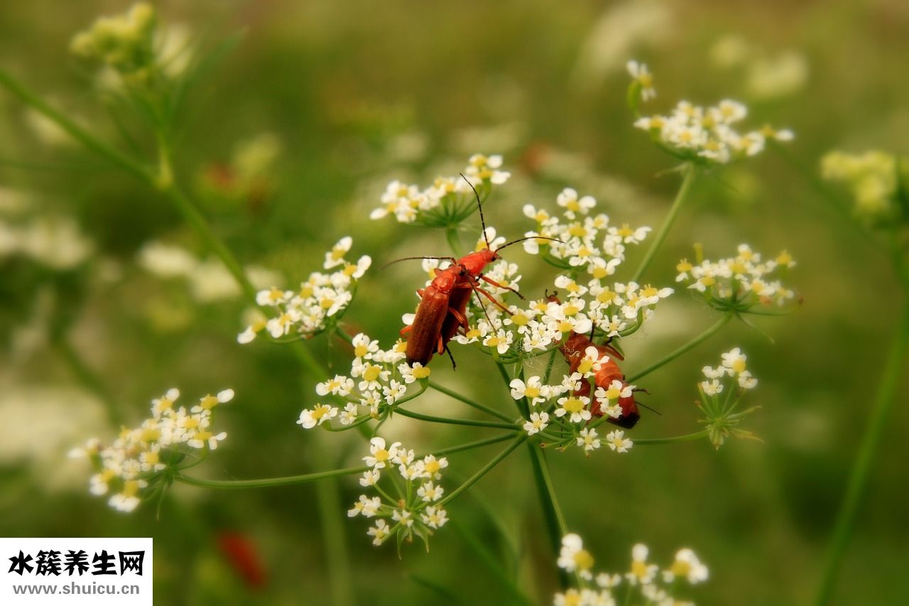 今日看點怎么卸載