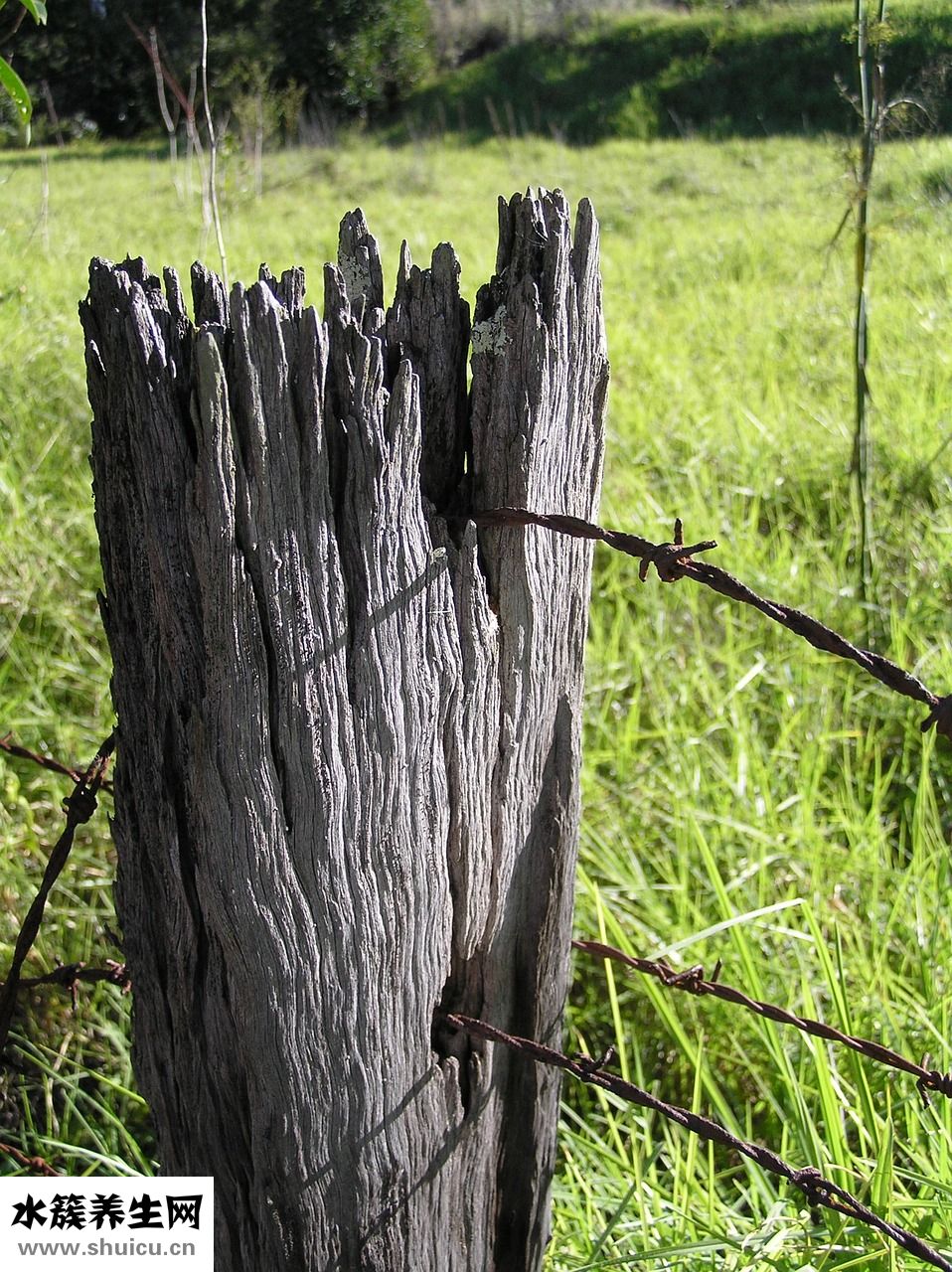 臉發(fā)木怎么回事