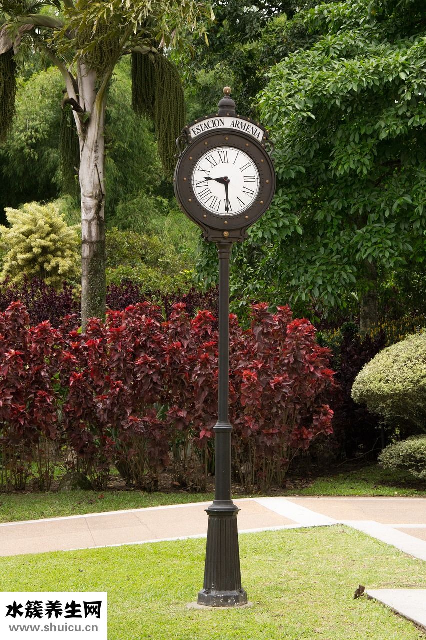 怎么確認懷孕時間