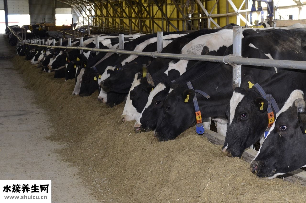 半個月寶寶怎么補(bǔ)鈣