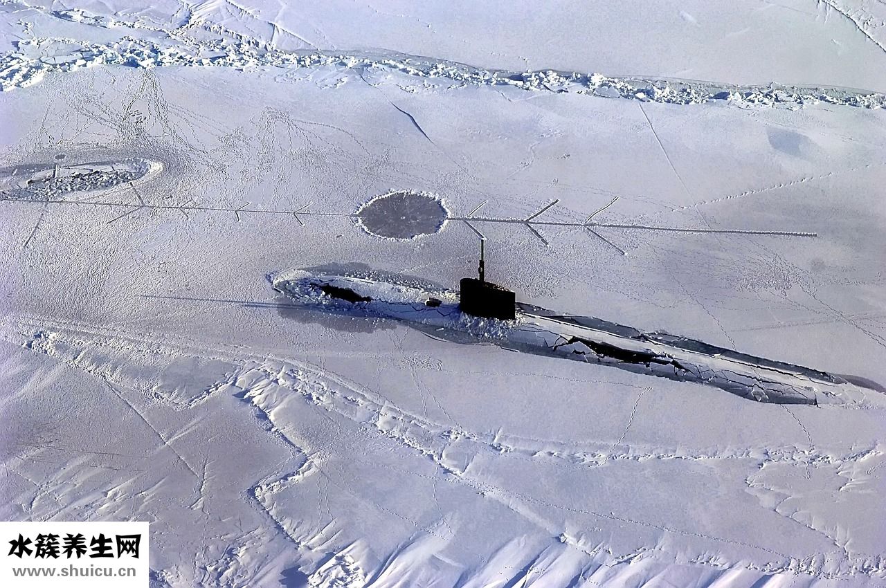 柿子長白點怎么辦