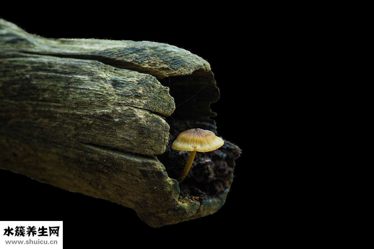 股癬的黑色素怎么辦