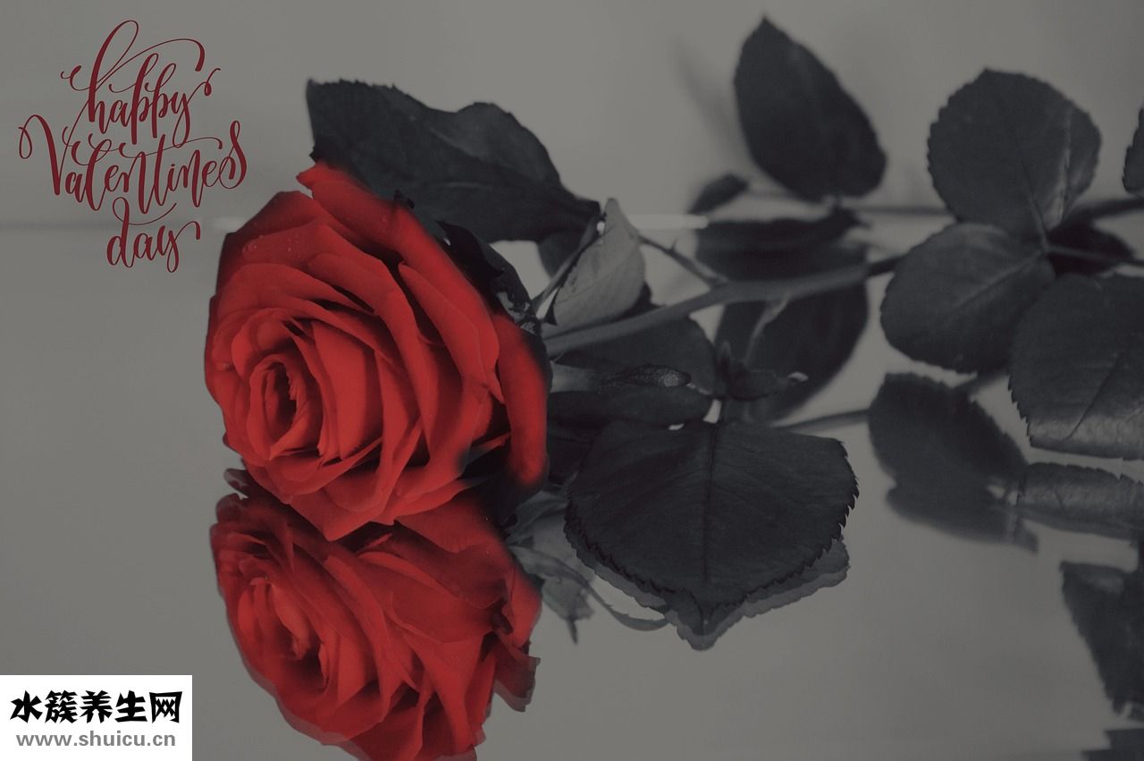 五心燒是怎么回事