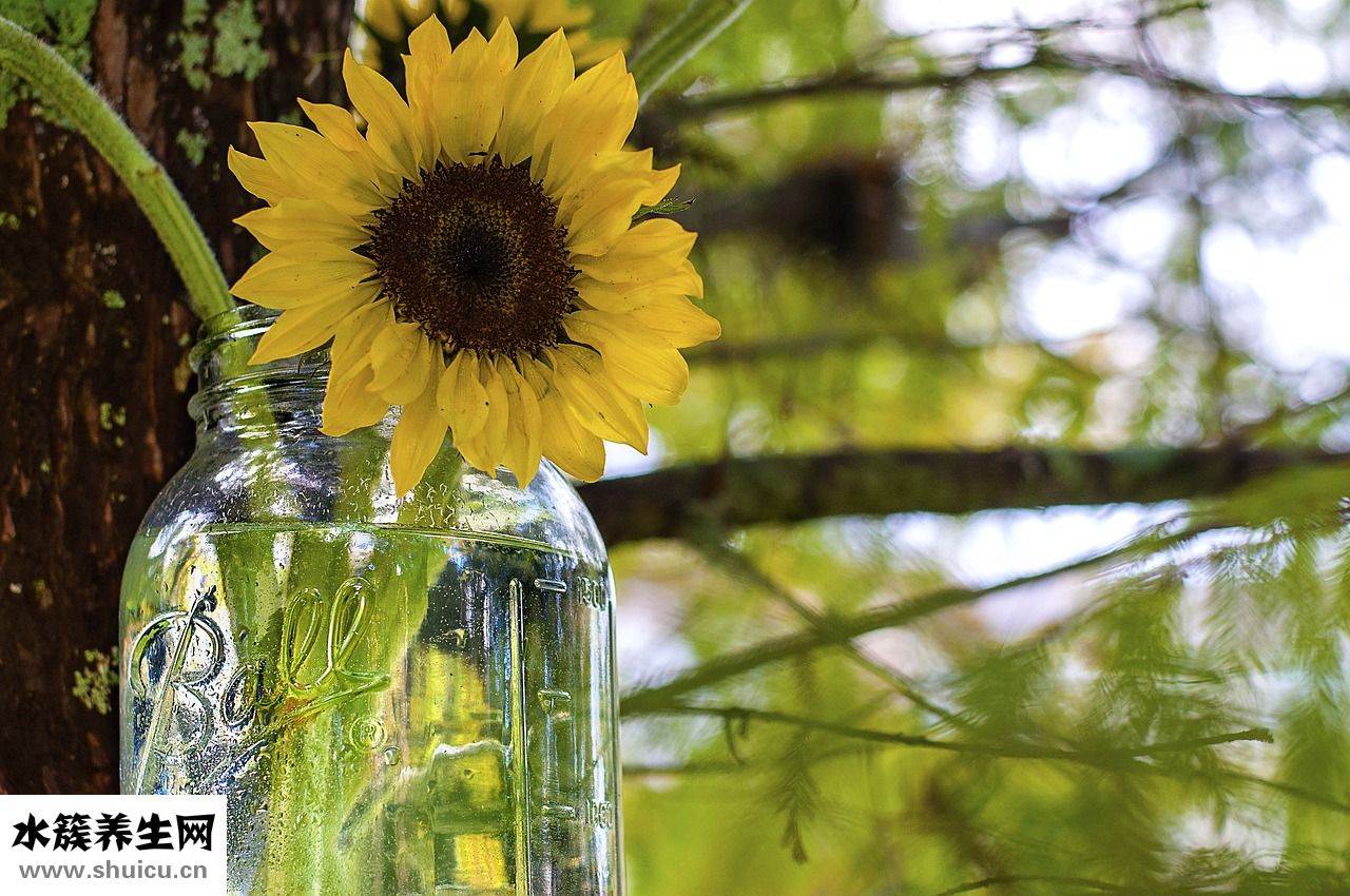 冬天腳愛出汗怎么辦