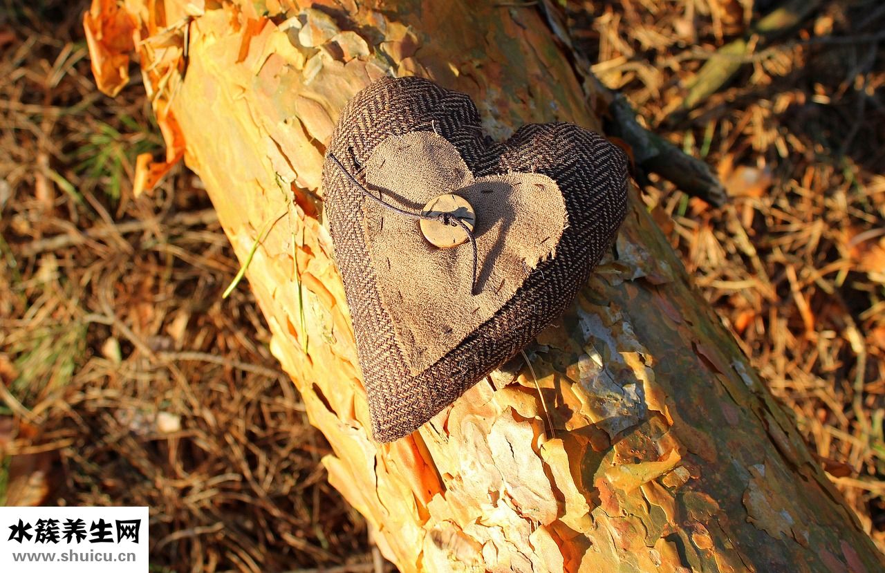 冬天腳愛出汗怎么辦