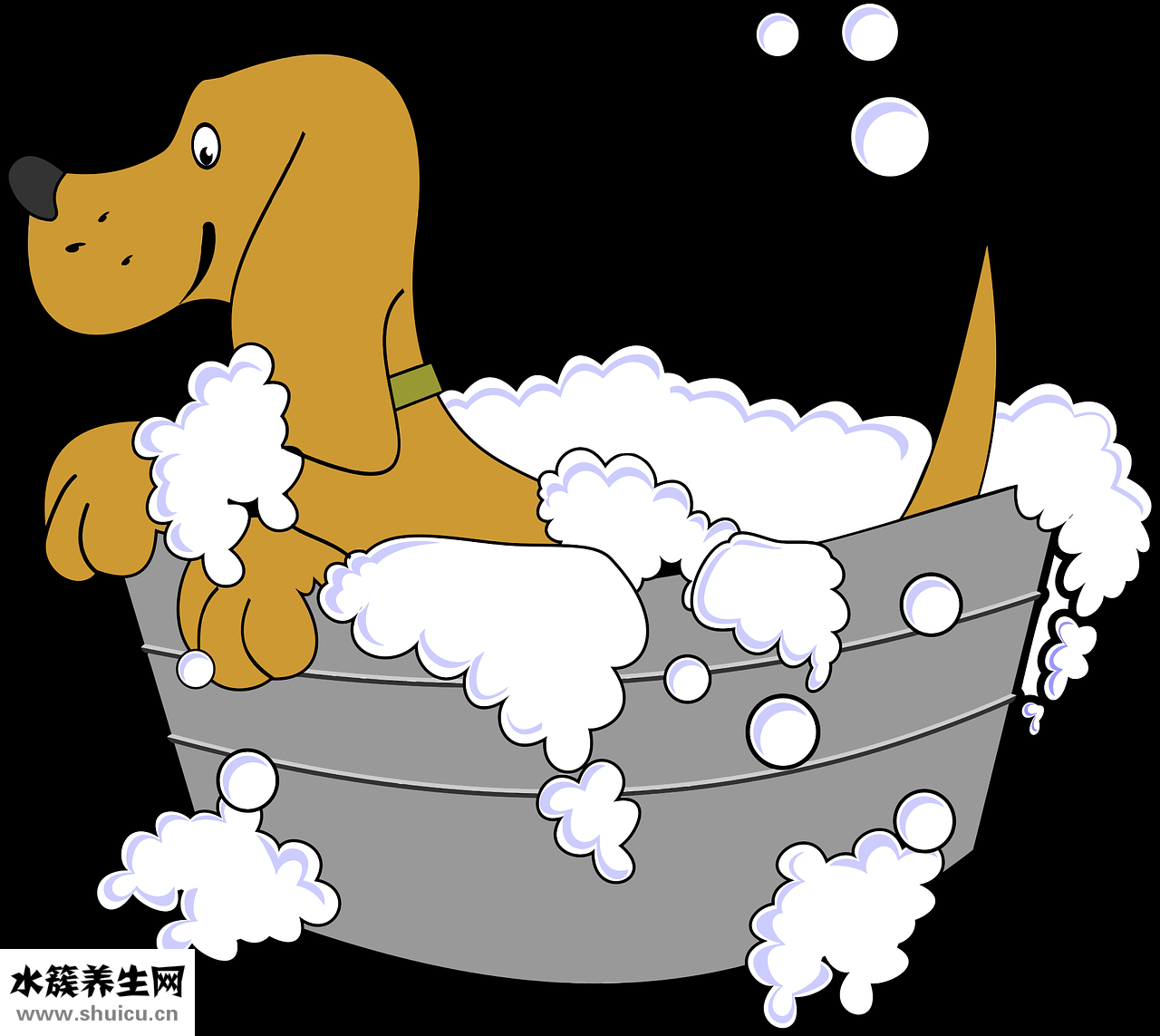 寶寶怕洗澡怎么辦