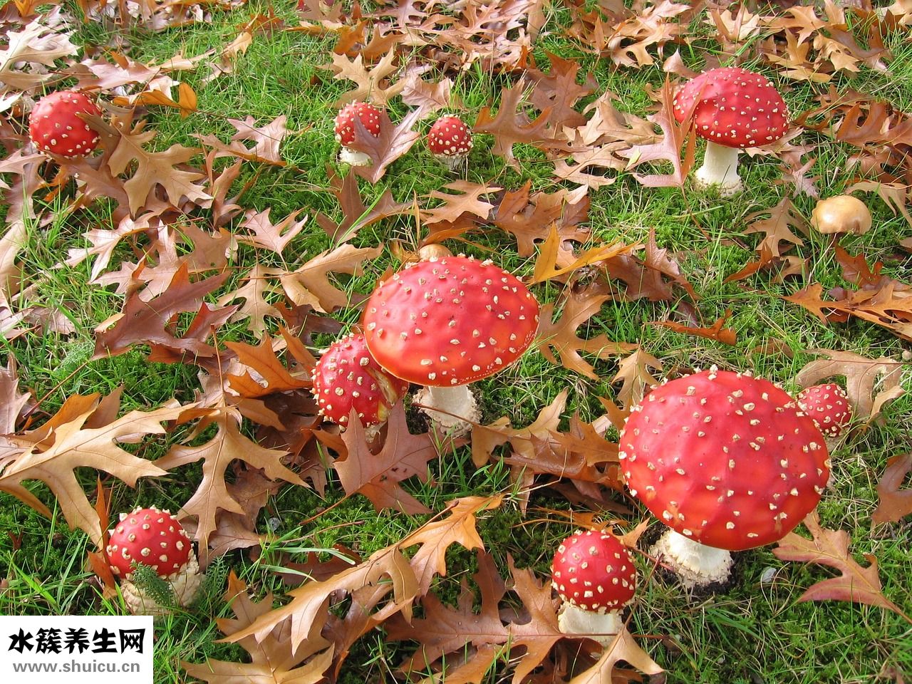 手心癢怎么治療