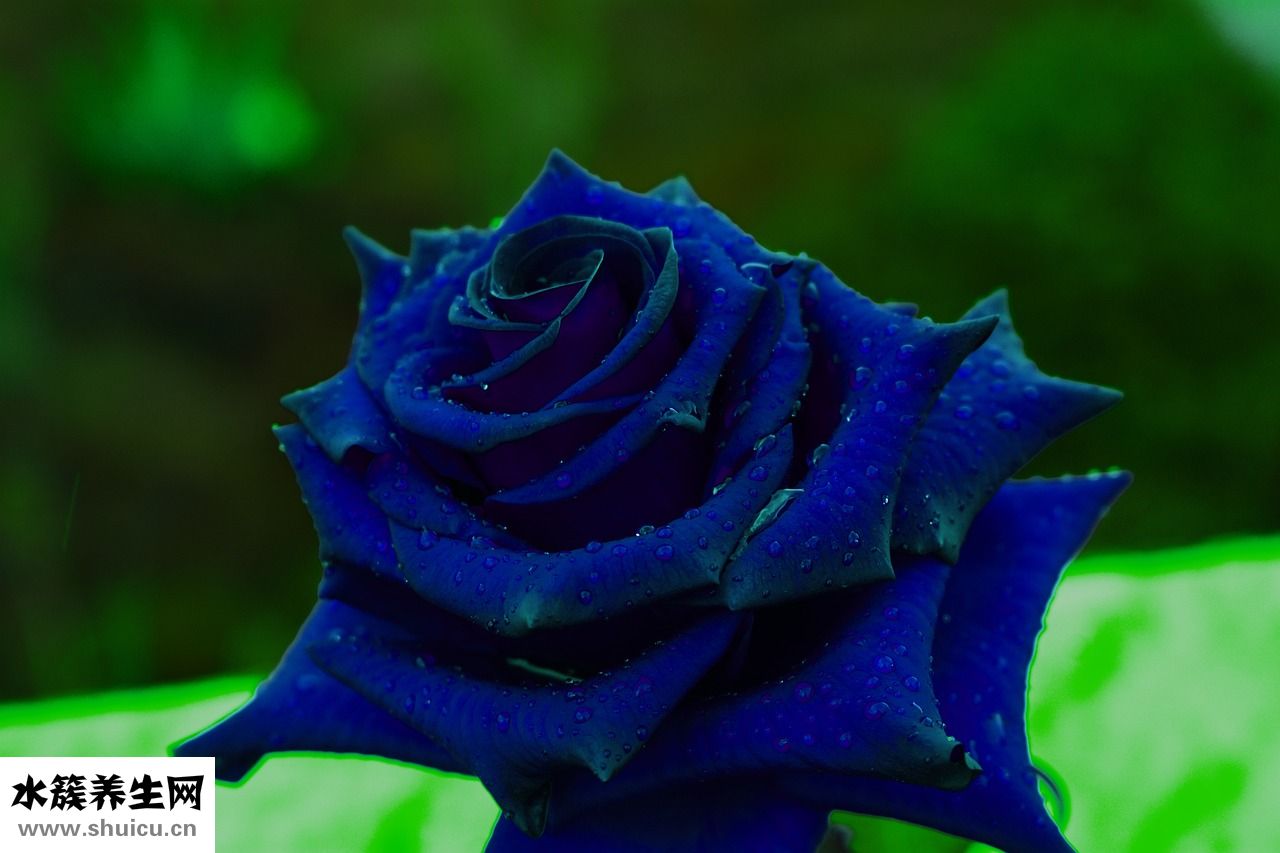 懷孕怎么這么難受