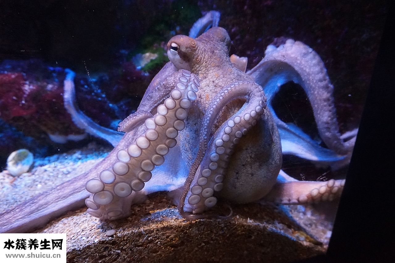 不自信膽子小怎么辦