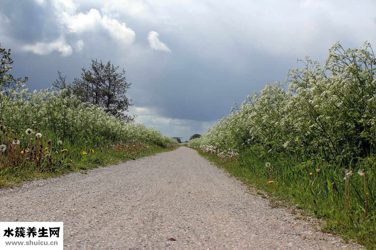 怎么形容東西好吃