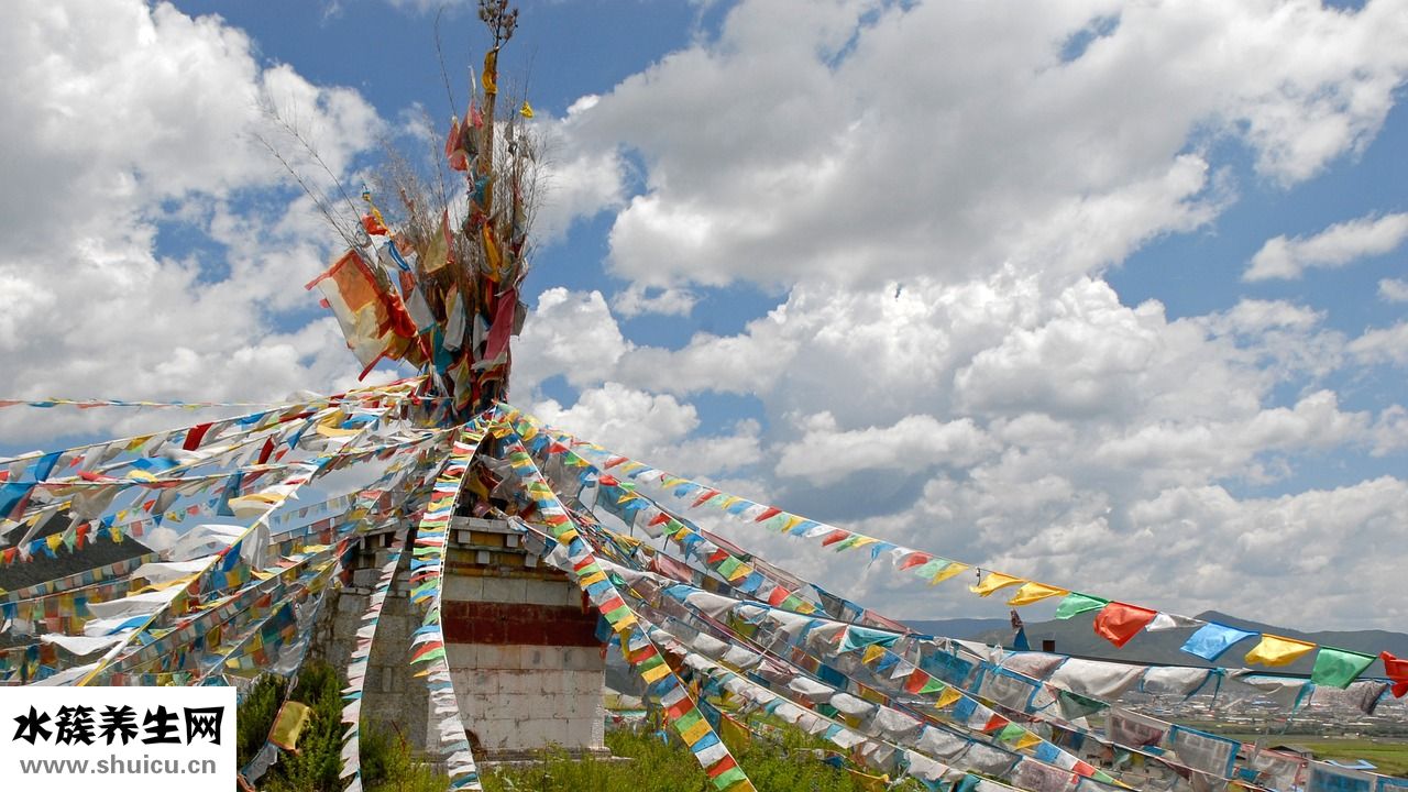 藏獒生病怎么治療