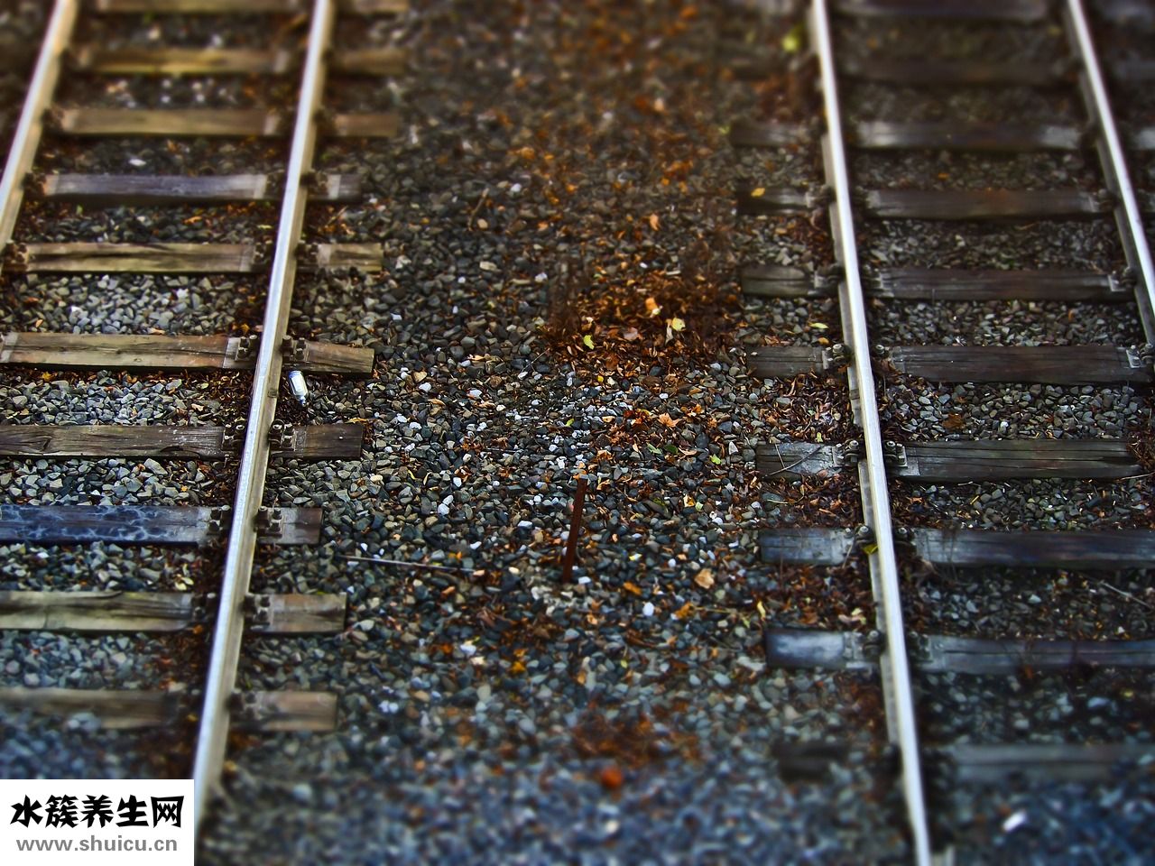 骨頭移位怎么辦