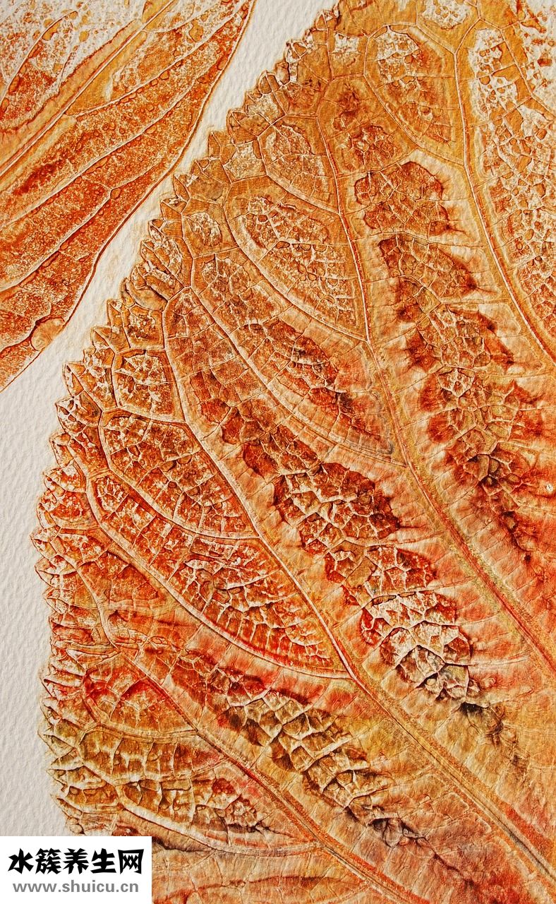 尿騷味很重怎么回事