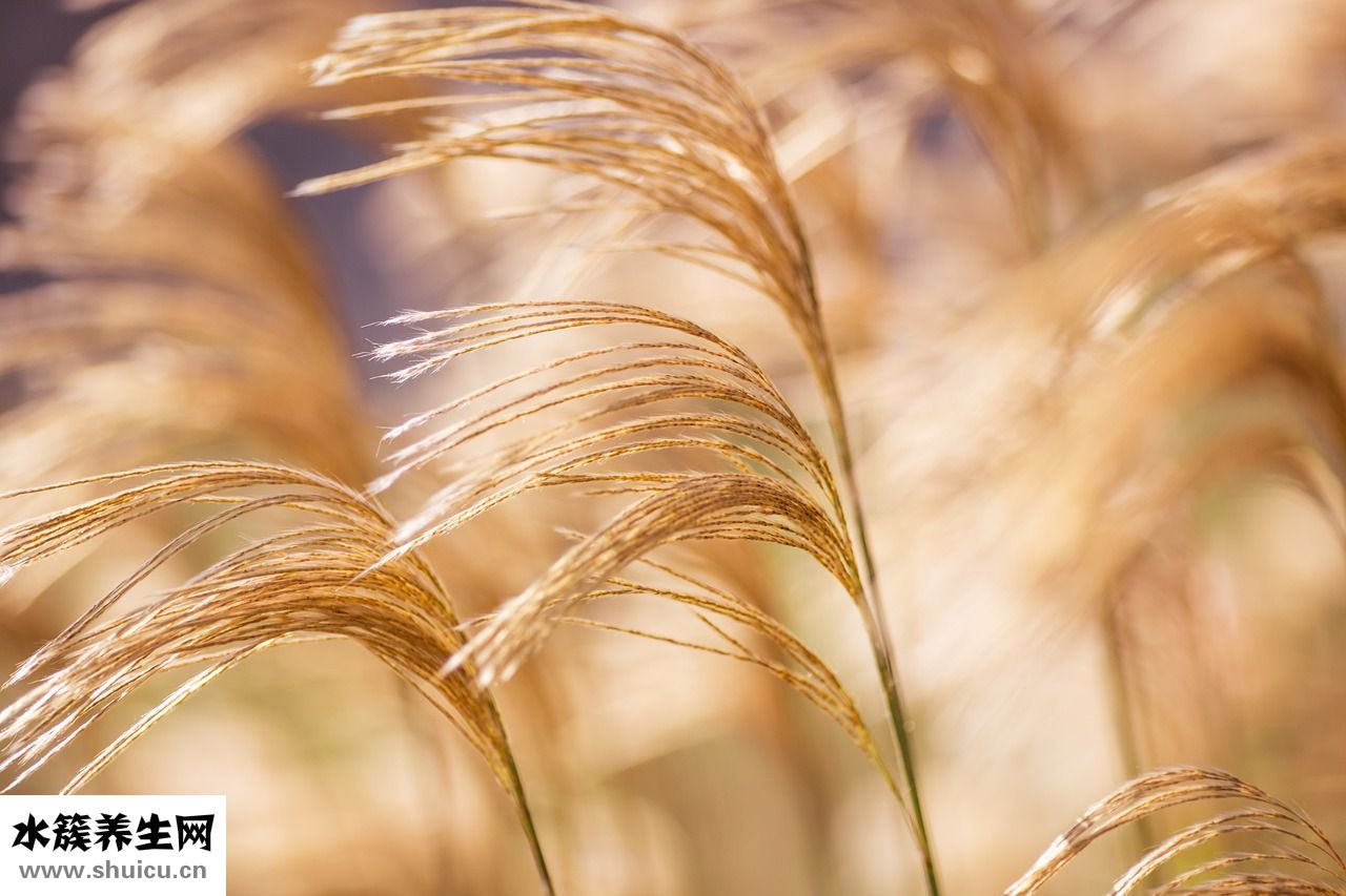 久坐怎么運(yùn)動